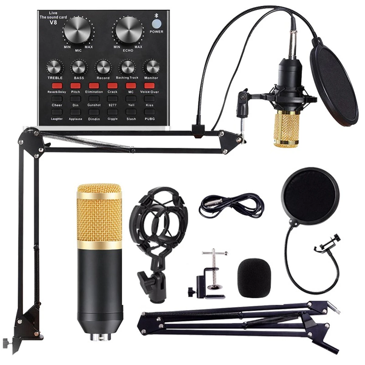 BM-800 and V8 Live Sound Card Condenser Microphone Full Studio Setup